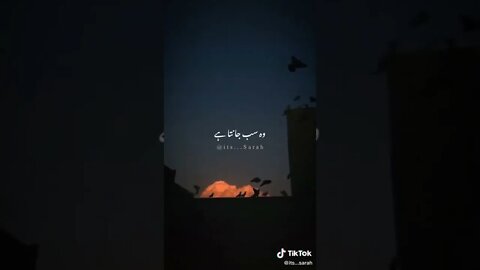 islamic video status' on TikTok TikTok Search 9