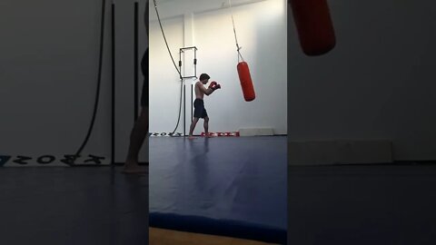 Punch And Elbow the Bag (3)