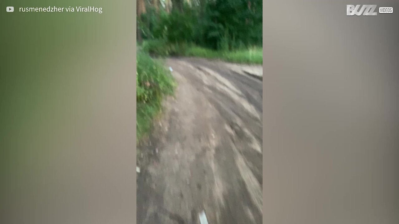 Hedgehog with head stuck inside cup rescued by passerby