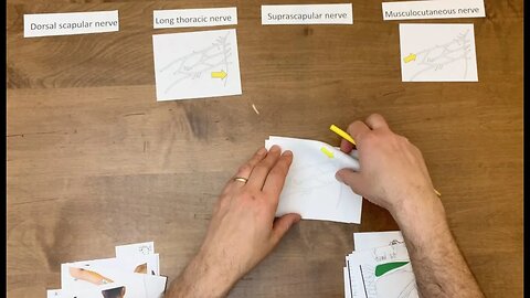 Shoulder Elbow Paper Puzzles Tutorial