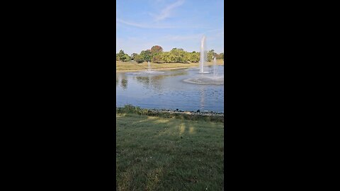 My Peaceful Place - Mr. Stranger Danger