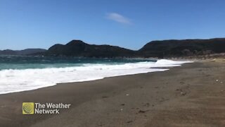 Waves churn and roll in along the Newfoundland coastline