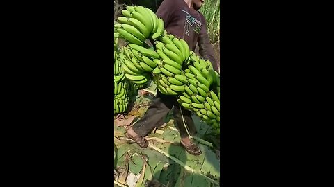 amazing video #asmr #fruits