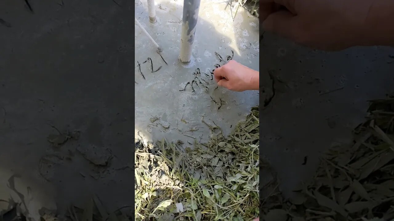 Satisfying (Tower Edition)