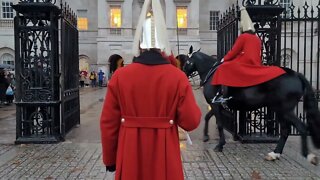 Changing of the Guards raining 🌧 day #horseguardsparade