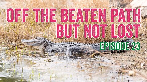 23. Things to do in Bradenton Florida and why you need to lock up your things