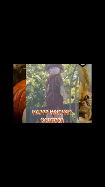 October Garden Scarecrow