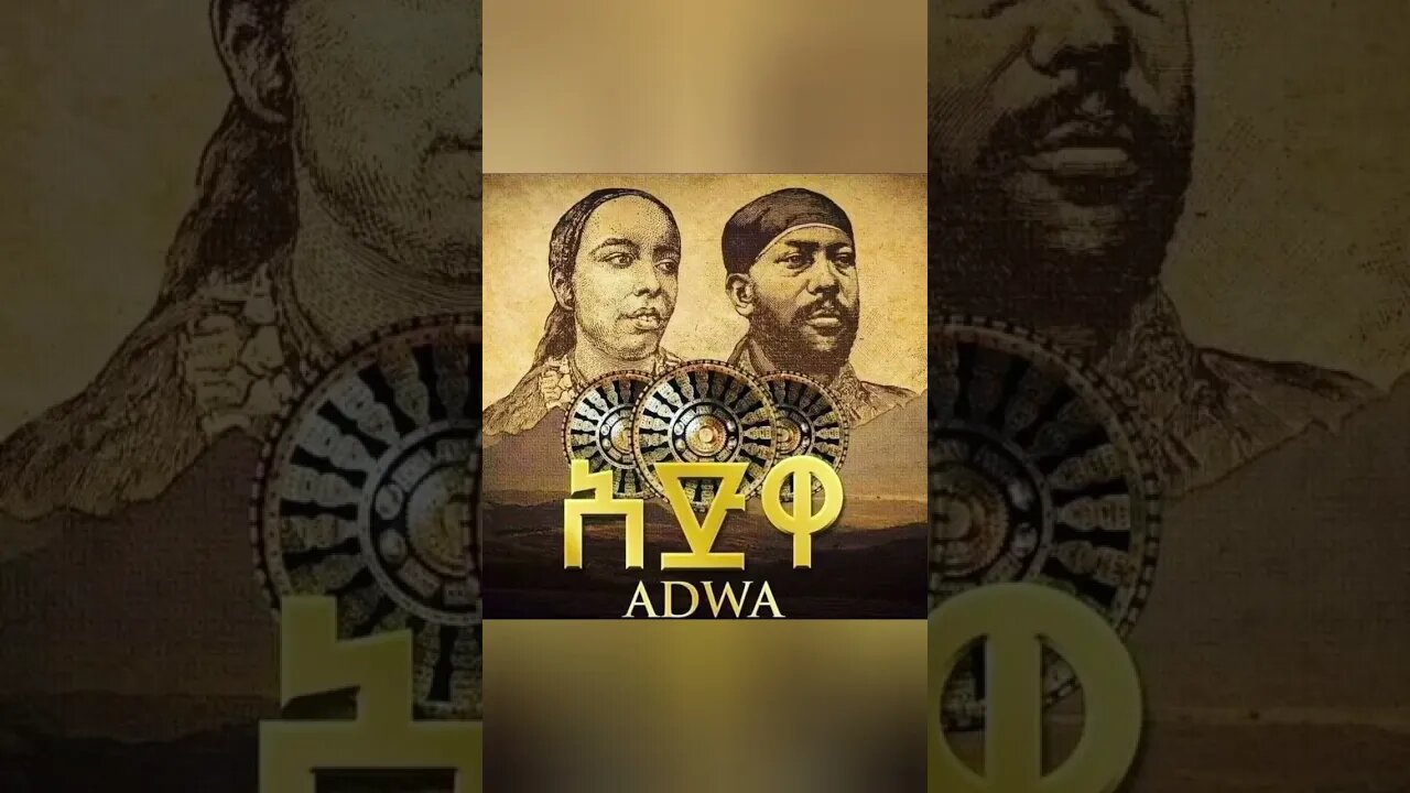 YouCut 20230302 141417829