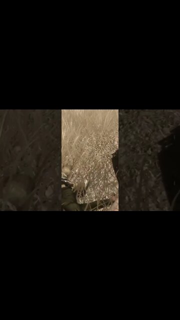 Don't Think He'll Mind If I Take This