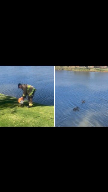 Oklahoma City firefighters rescue twelve ducklings