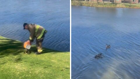 Oklahoma City firefighters rescue twelve ducklings