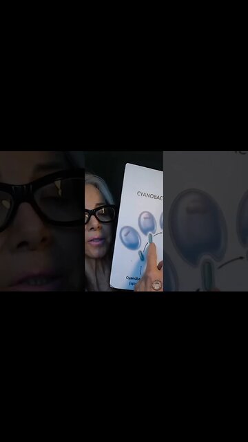 Origins of Mitochondrial Evolution 🦠 #shorts