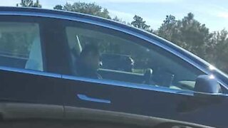 Perigo: motorista dorme ao volante na estrada