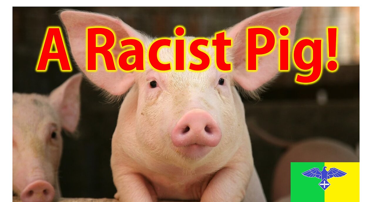 Racist Pig