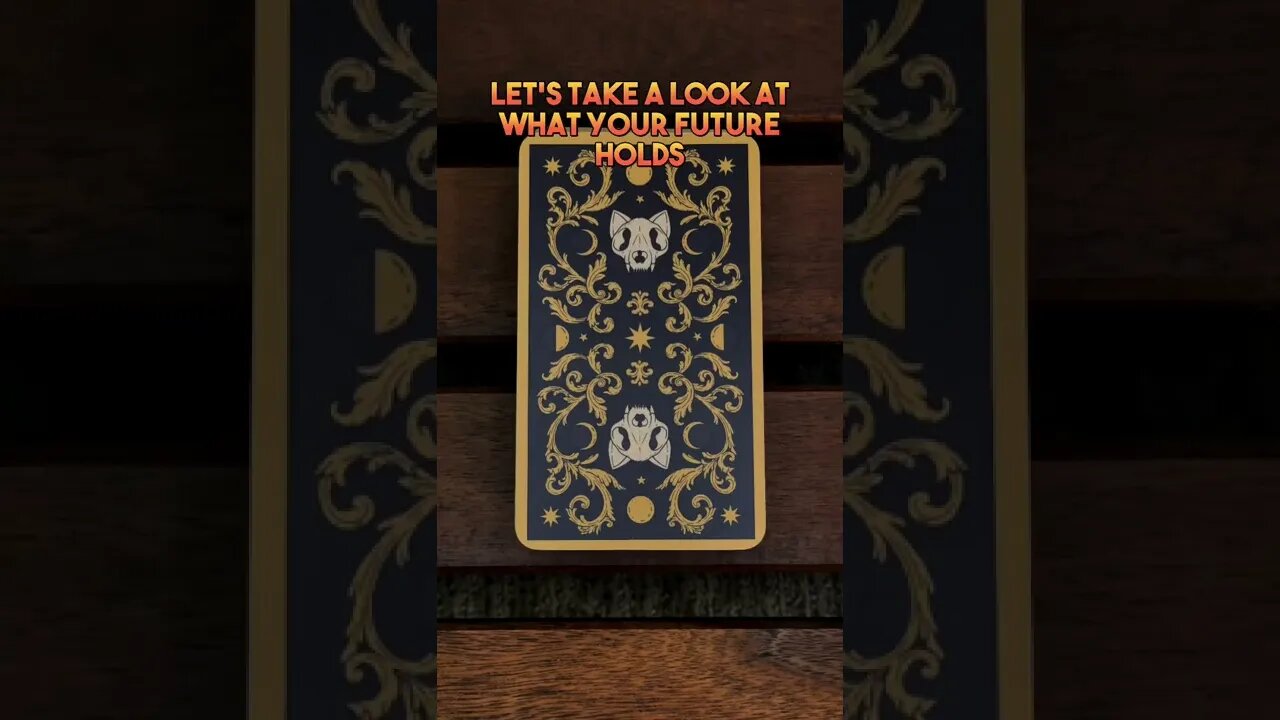 🎃3 Days🎃 Abundance and wealth is in your future😁 #cat #blackcat #leonthecatdad #tarot #halloween