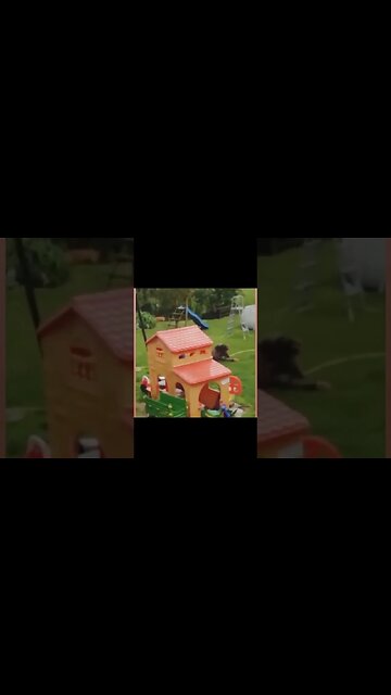 Extreme sports plus Extremely Stupid People = FUNNY $HIT! 🤣