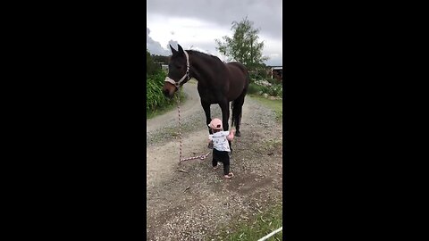 little girl leads horse