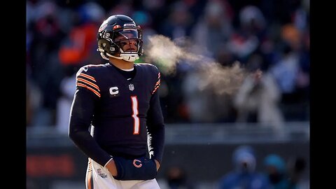 Bears are Underrated in 2023