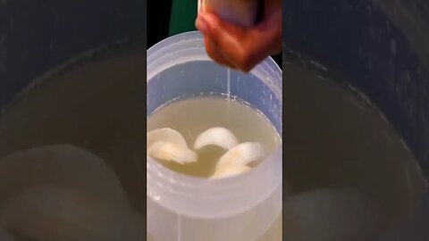 🇹🇭 Thai Coconut Smoothie: A Taste of Tropical Paradise #foodie #juicing
