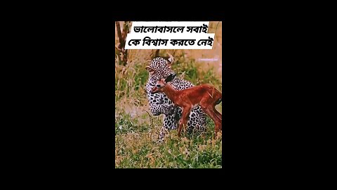 #Dont_Trust_anyone_so_easily.🥺