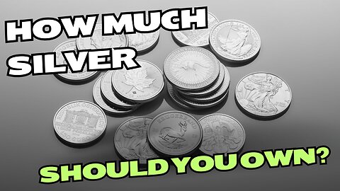 How MUCH Silver Should You Own?