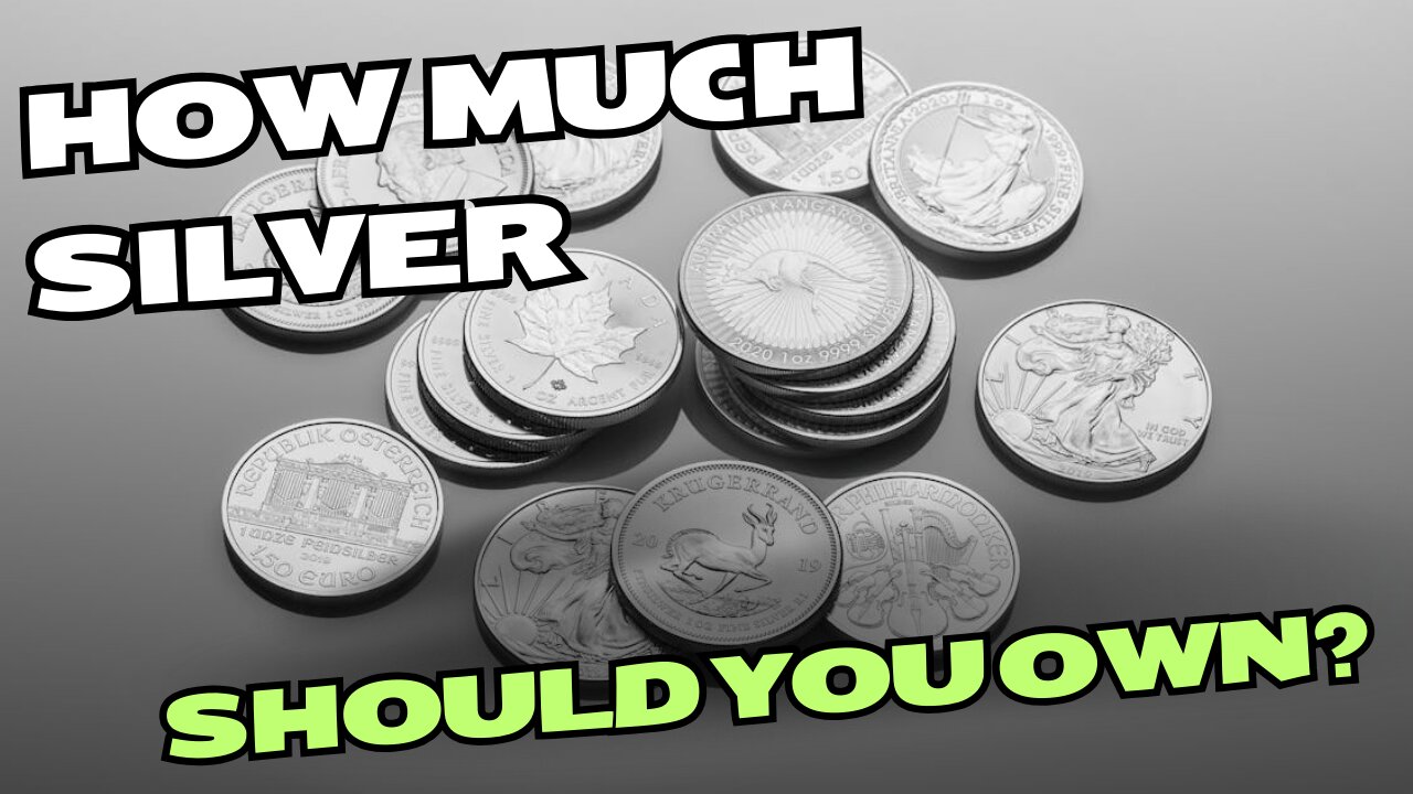 How MUCH Silver Should You Own?