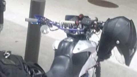 Midnight Marauders Pt Two