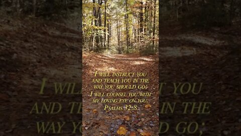 Psalms 32:8 #psalms #bible #christian #christianity #God #teach #shorts