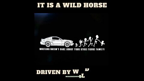 The Wild Ones