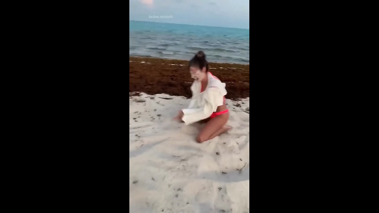 The end ------ _funny _fails _shorts _viral _idiotsfolder(720P_HD)_2