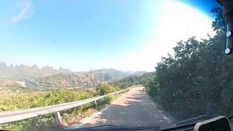 I travel around the world with my dog 3