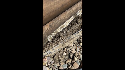 So satisfying(pest control)