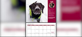 TSA releases hard-working dog calendar