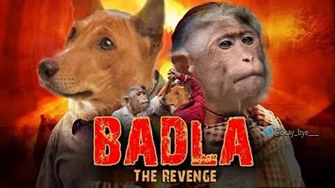 Funny monkey 🐒 and Dog 🐕 comedy video 🤣