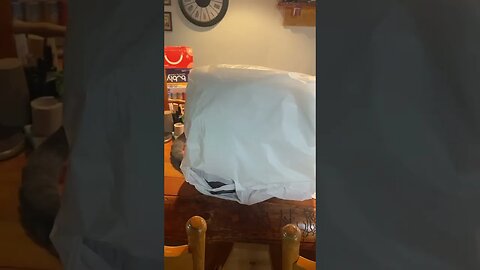 Lion King - Mufasa (Alternate) End Scene