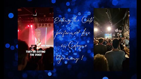 🔥“Eating the Cats” was performed LIVE in Cologne, Germany!! CRAZY !! 😹🐈