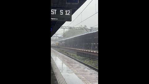 Rain in Mumbai 2024