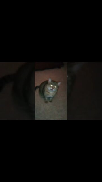 "Keep your tongue from EViL" №666.666°