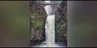 Pacific Northwest Life