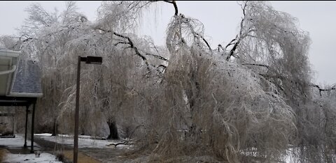 Ice Storm 2019!!