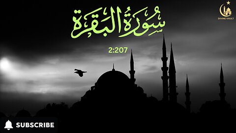 Surah Al-Baqarah (2:207) - Understanding and Reflection | Divine Vault