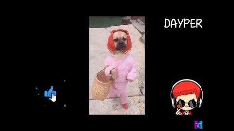 Videos divertidos y graciosos de tiktok 2021