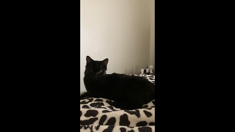 What are you up to?