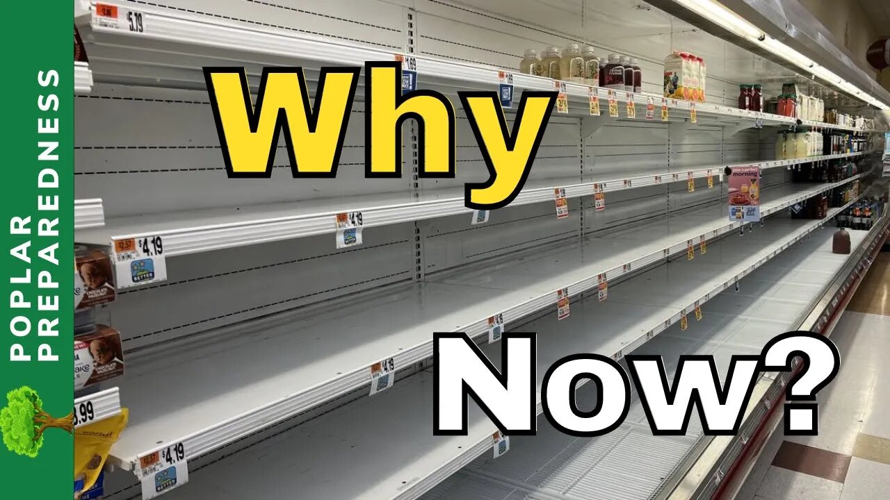 5 Reasons for CURRENT Empty Shelves (Food Shortage, 2022)