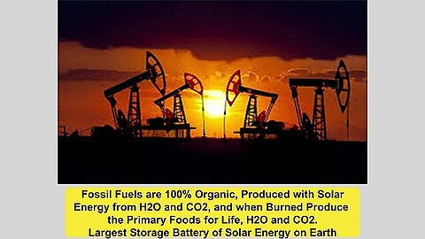 Richard Feynman - A Nobel Prize Winners View of CO2 Green Plants and the Sun