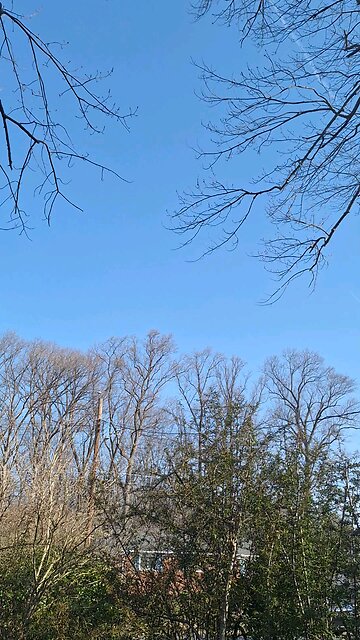 Weather Machine Dream