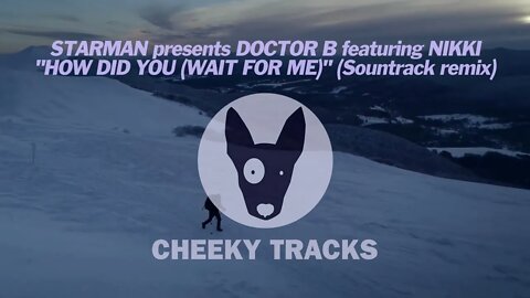 Starman presents Doctor B ft Nikki - How Did You (Wait For Me) (Sountrack remix) (Cheeky Tracks)
