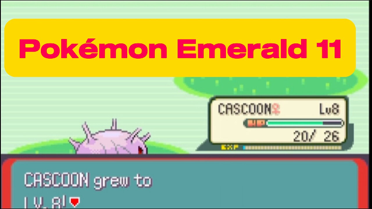 Pokémon Emerald 11