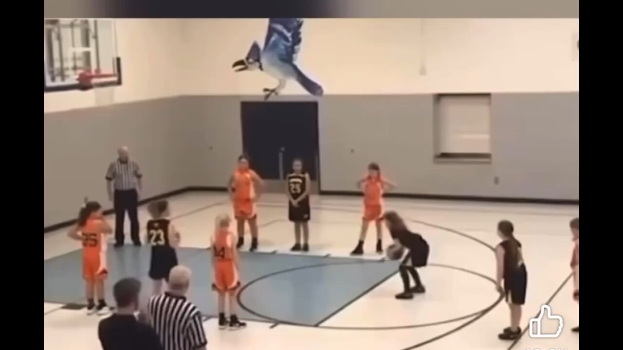 PARENT YELLS AIRBALL WHEN CHILD MISSES THE SHOT 😡 STOP BULLYING AND EMBARRASSING YOUR CHILDREN