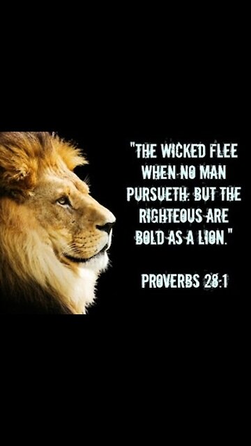 Justice is Coming! 🦁❤️👼🤍👼❤️🦁